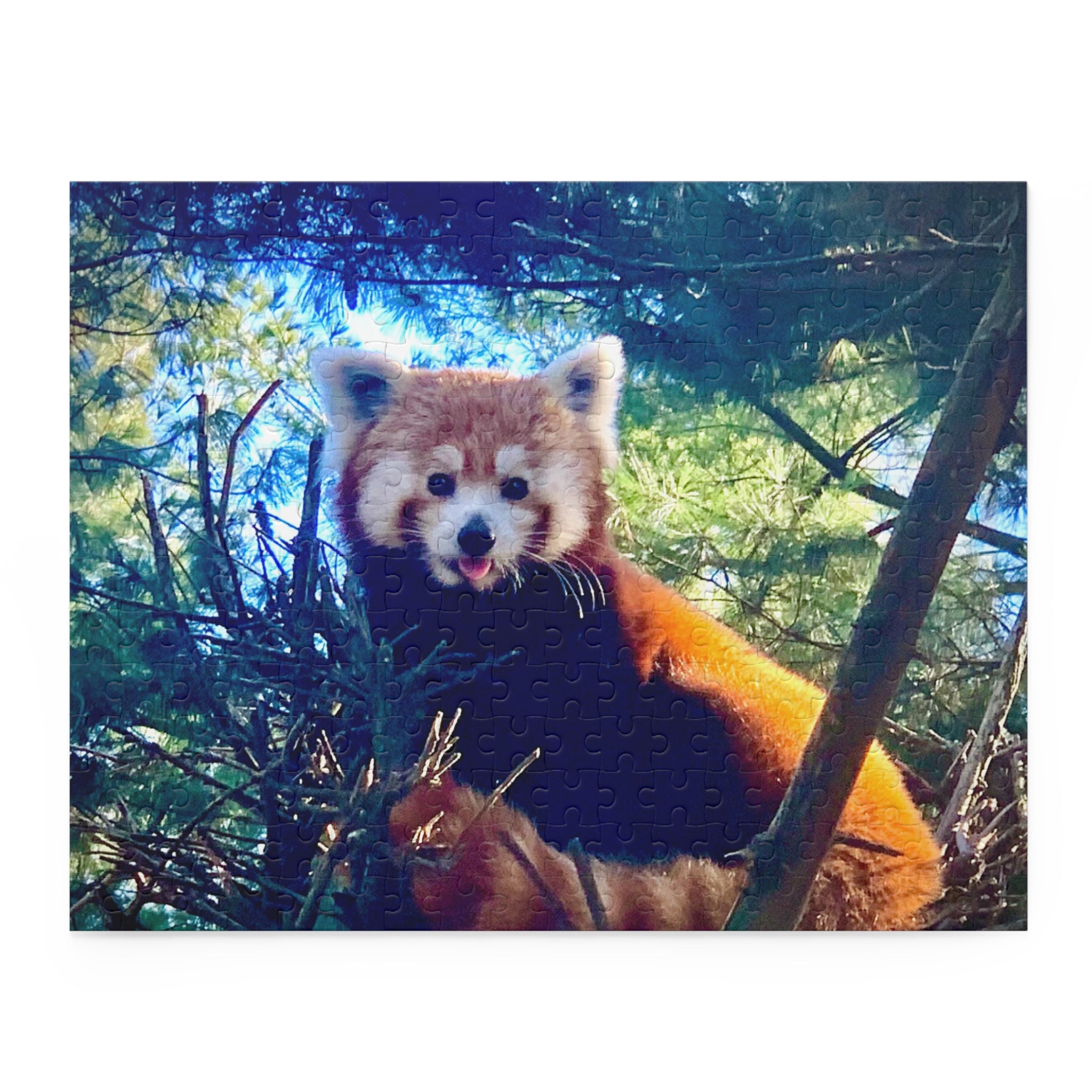 Red Panda Puzzle - Fun Family Activity, Wildlife Gift, Home Décor, Educational Gift for Kids, Nature-Lovers Puzzle