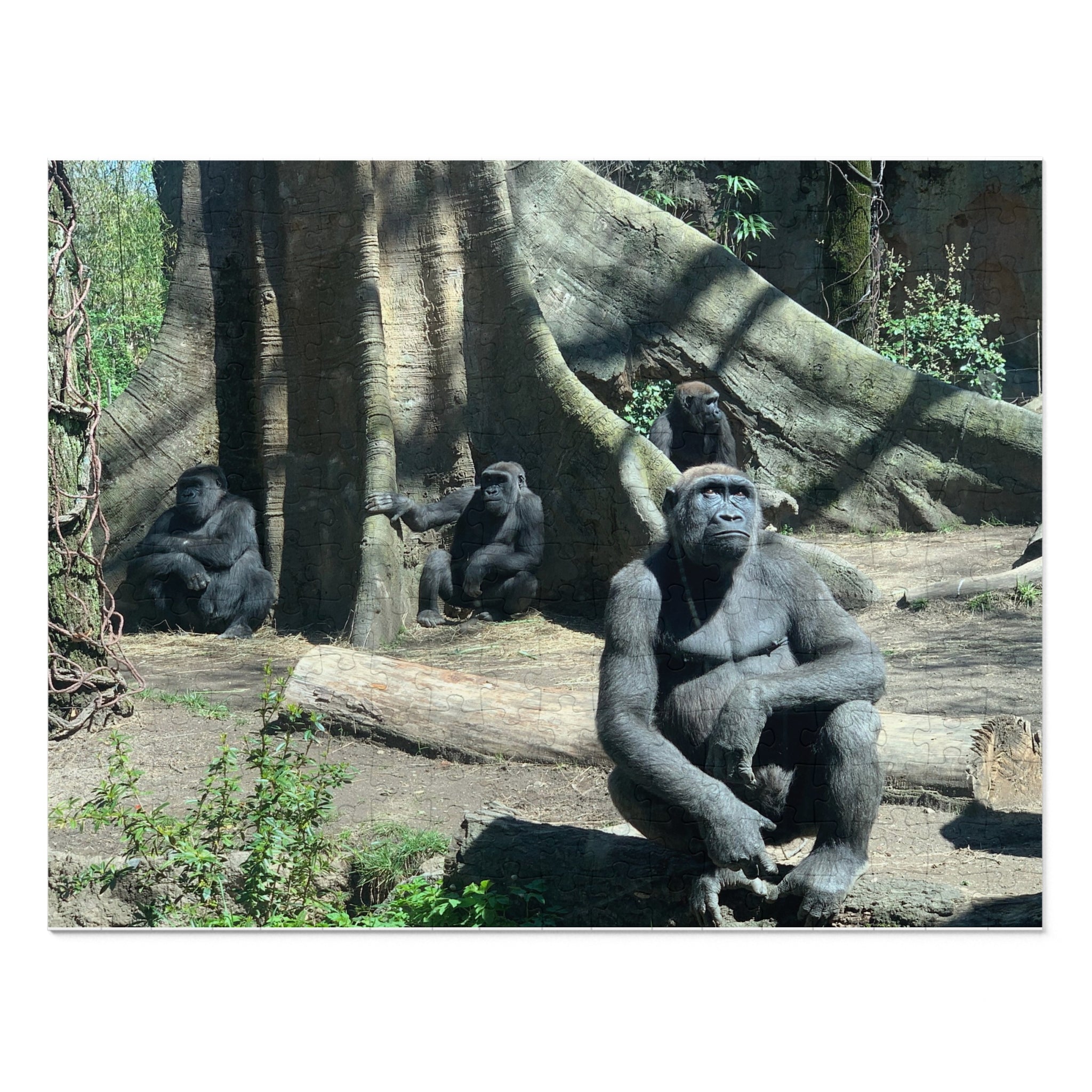 Nature-Themed Jigsaw Puzzle with Tin - Fun Family Activity, Perfect Gift for Animal Lovers, Puzzle Game, Wildlife Decor