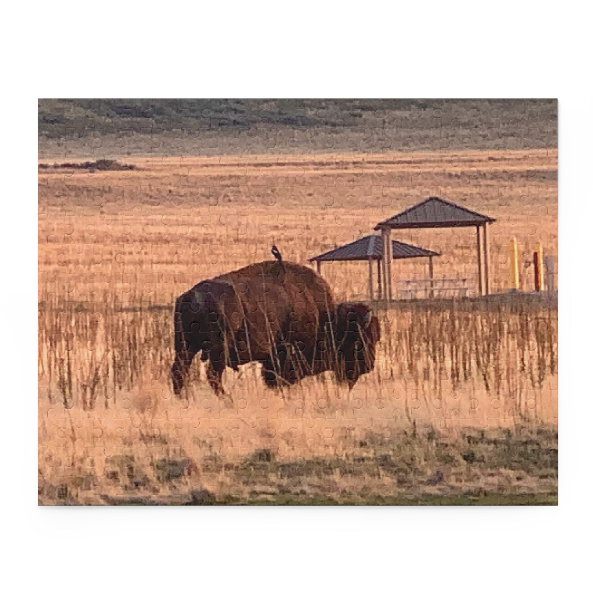 Nature-Themed Buffalo Puzzle - 120/252/500 Pieces for Wildlife Lovers, Family Fun, Gift for Kids, Home Decor, Outdoor Enthusiasts