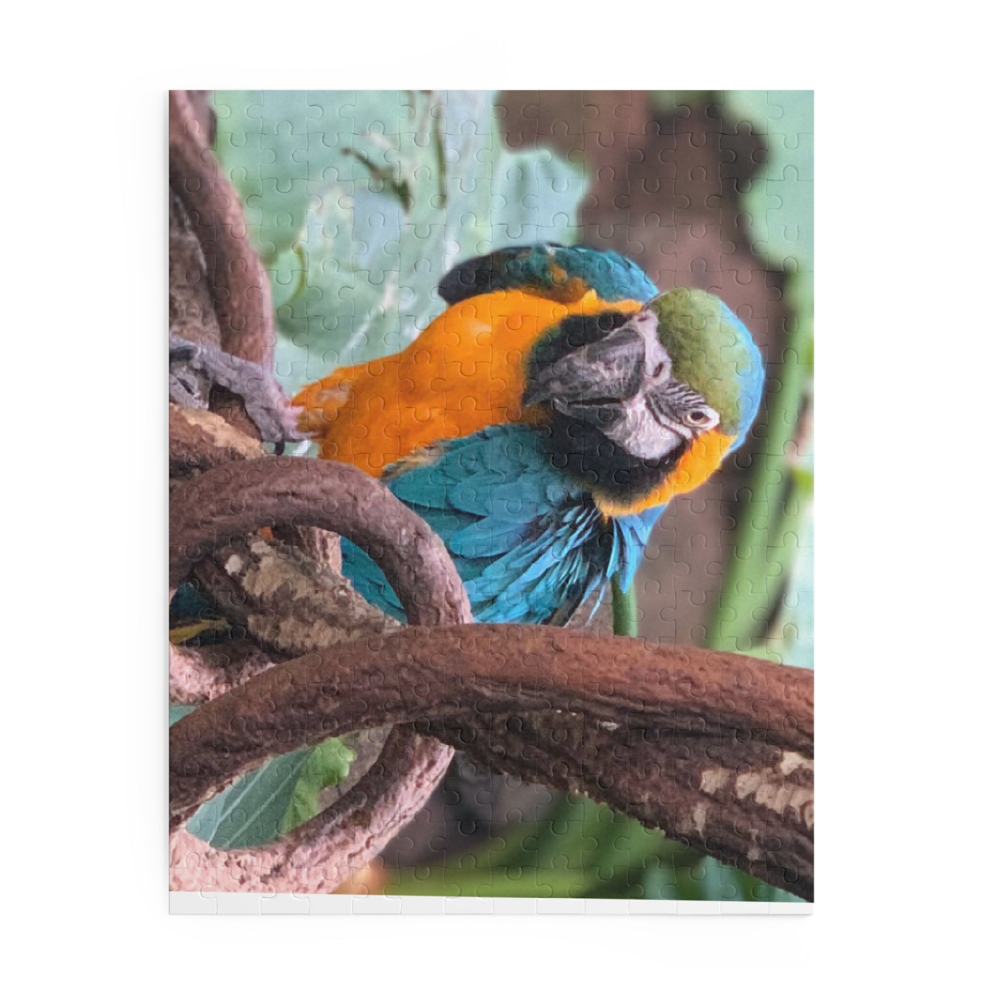 Colorful Parrot Puzzle, Vibrant Wildlife Decor, Family Fun Activity, Gift for Nature Lovers, 120/252/500-Piece Options