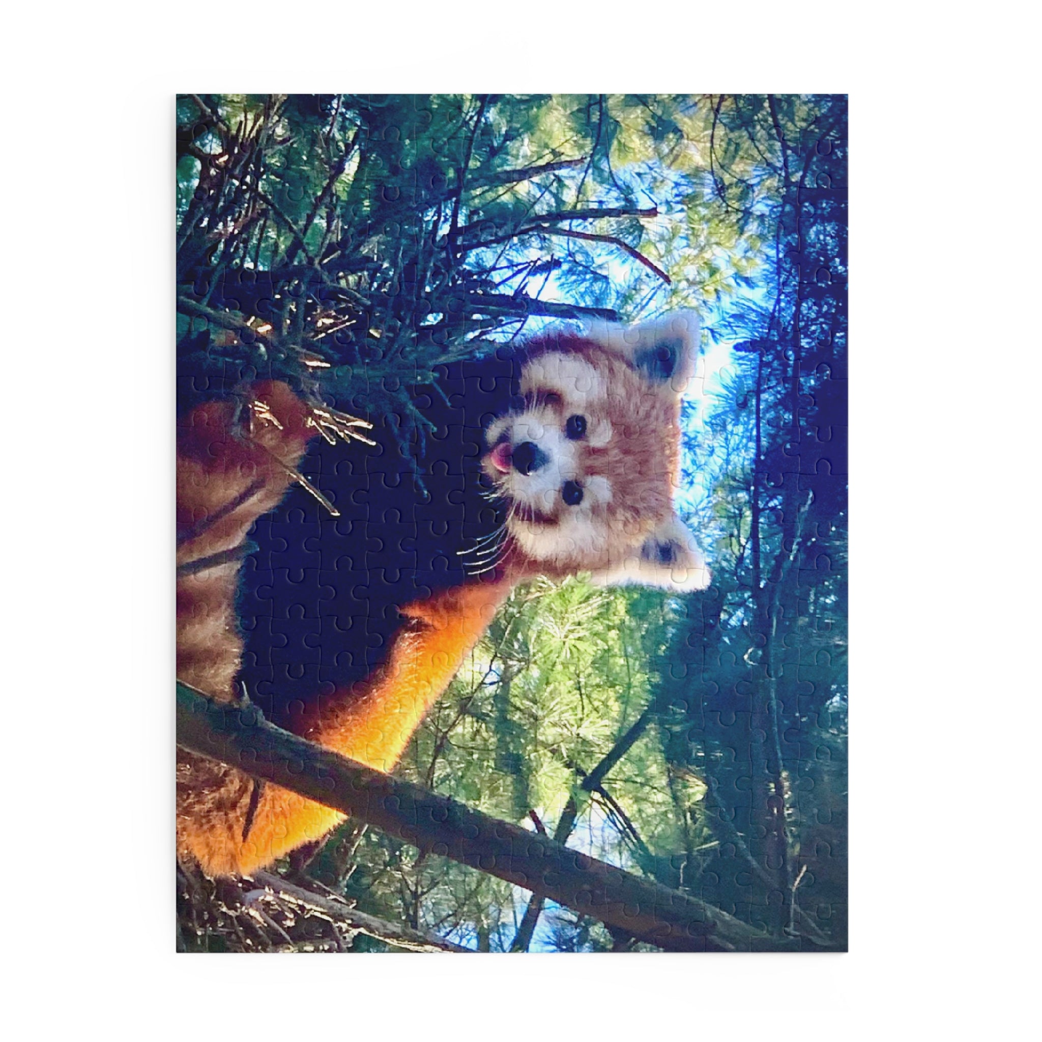 Red Panda Puzzle - Fun Family Activity, Wildlife Gift, Home Décor, Educational Gift for Kids, Nature-Lovers Puzzle