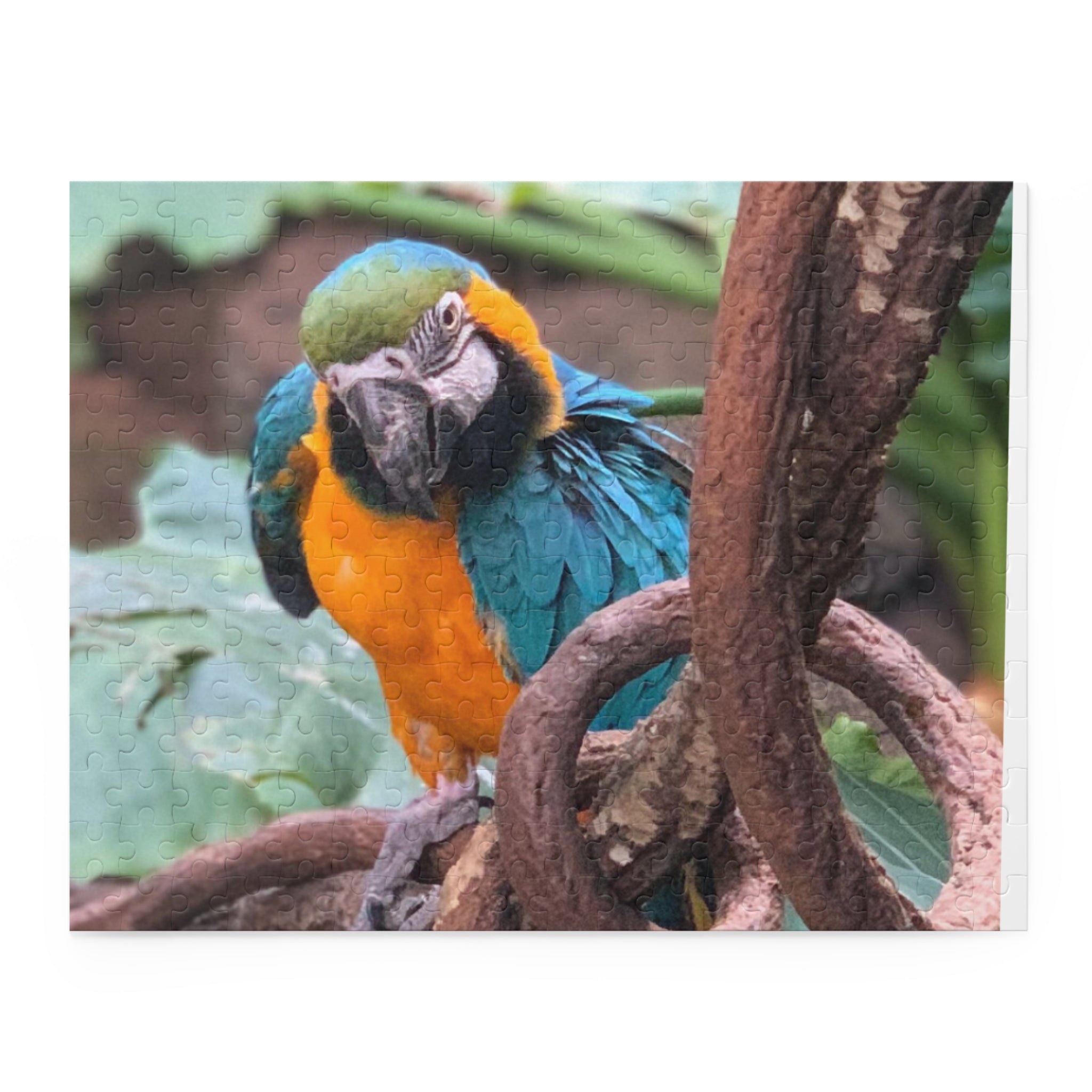 Colorful Parrot Puzzle, Vibrant Wildlife Decor, Family Fun Activity, Gift for Nature Lovers, 120/252/500-Piece Options